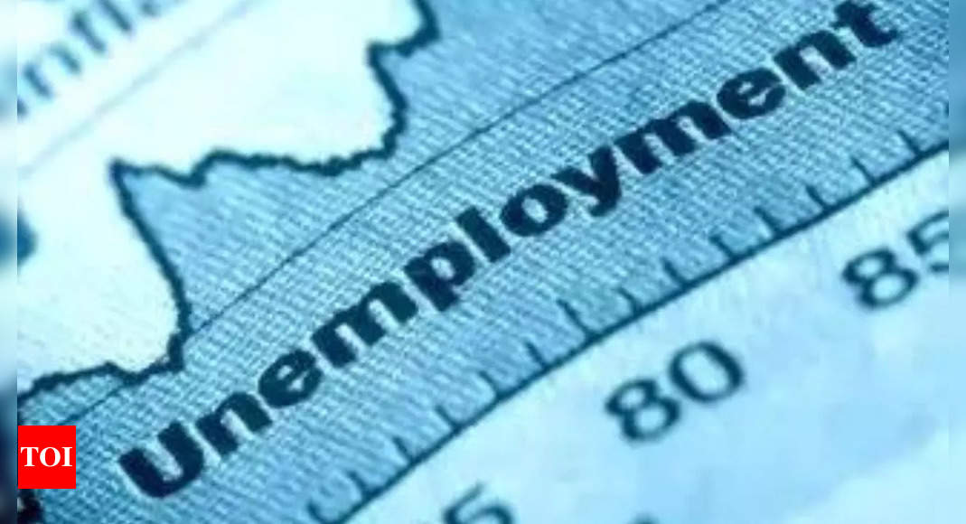 Survey: Himachal Pradesh, Rajasthan see highest youth unemployment rate in July-September
