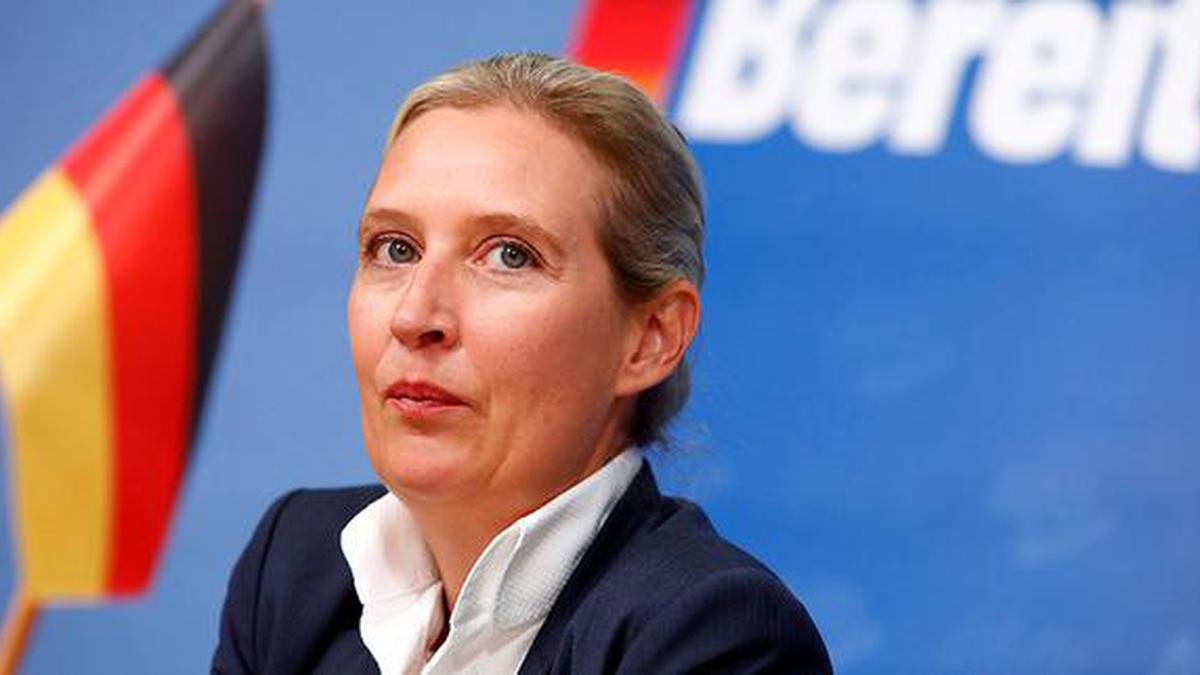 Far-right AfD leader says Brexit vote is a ‘model for Germany’