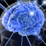 Brain Xcel Pro Cognitive Formula