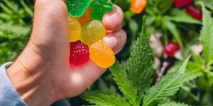 Elevate CBD Gummies