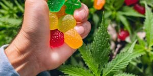 Herbal Harmony CBD Gummies