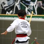 Hansoo Taekwondo & Fitness